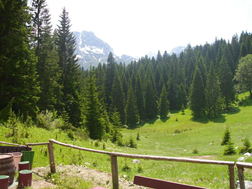 Vujisic *